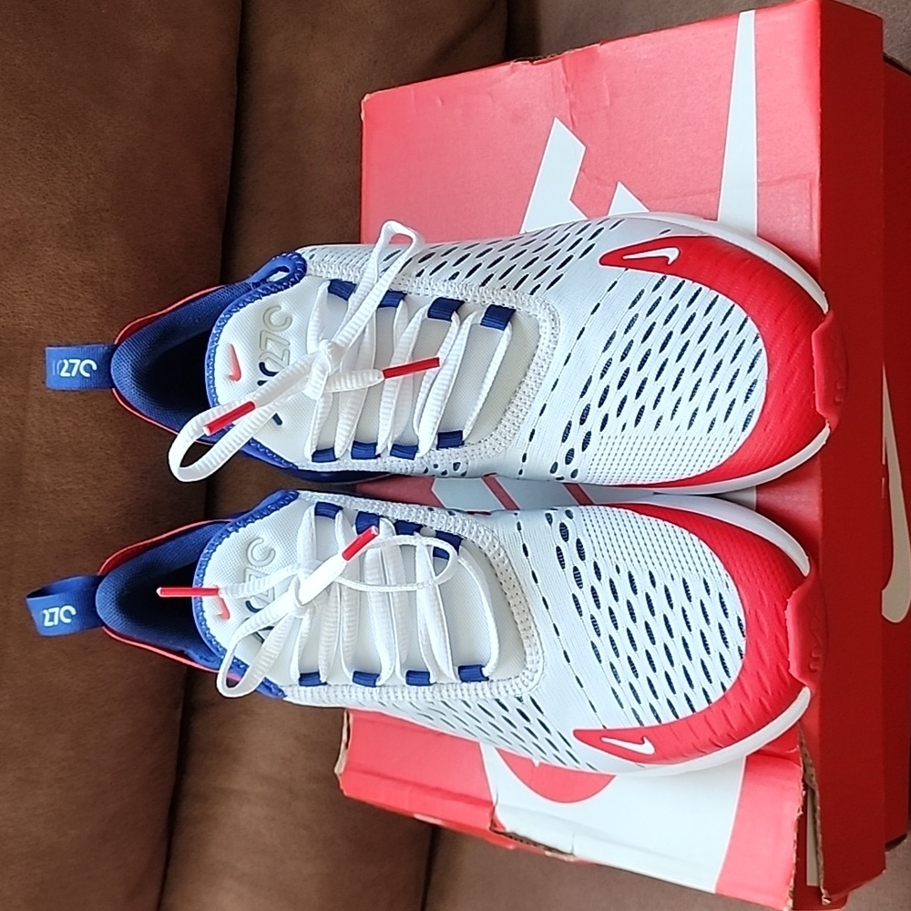 Nike Air Max 270 (GS)